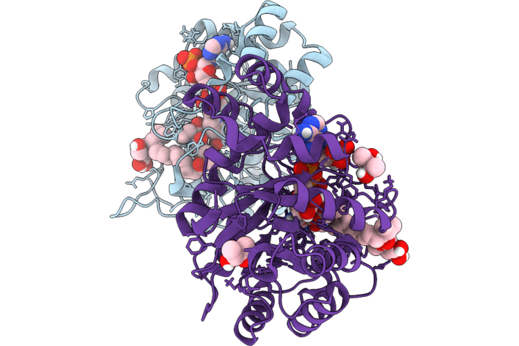 9SWH image