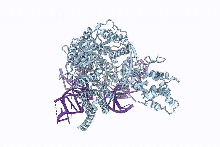 9SWO image
