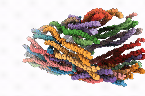 9SWW image