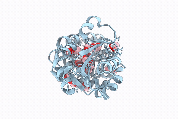 9SX8 image