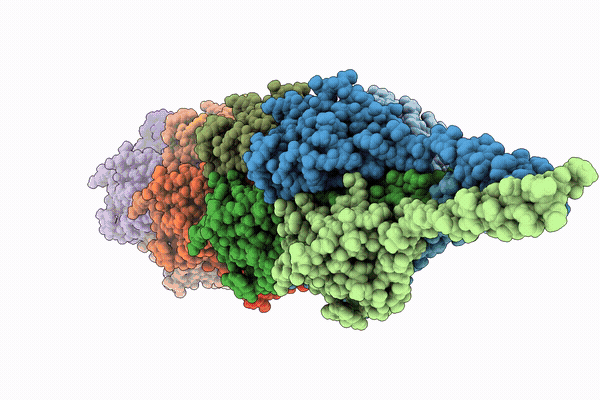 9SX9 image