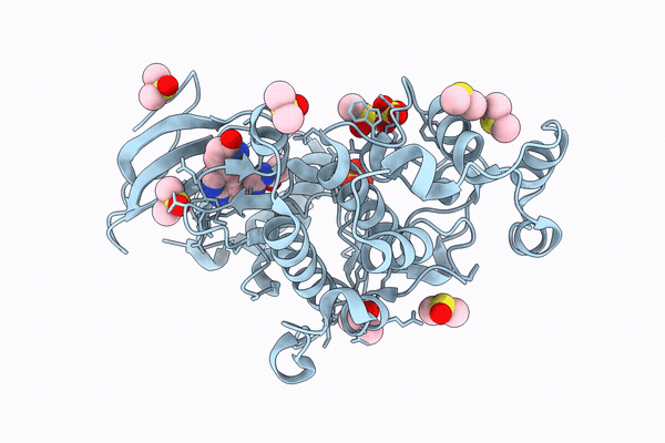 9SXP image