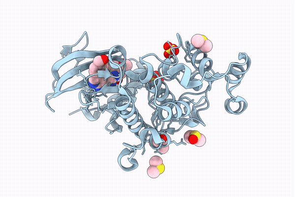 9SXR image