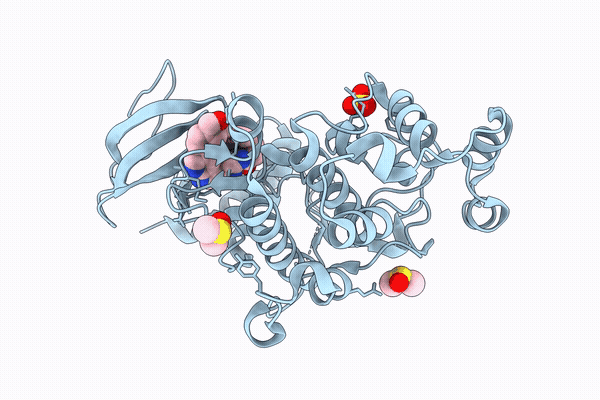 9SXS image