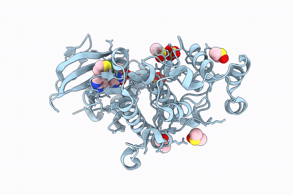 9SXU image