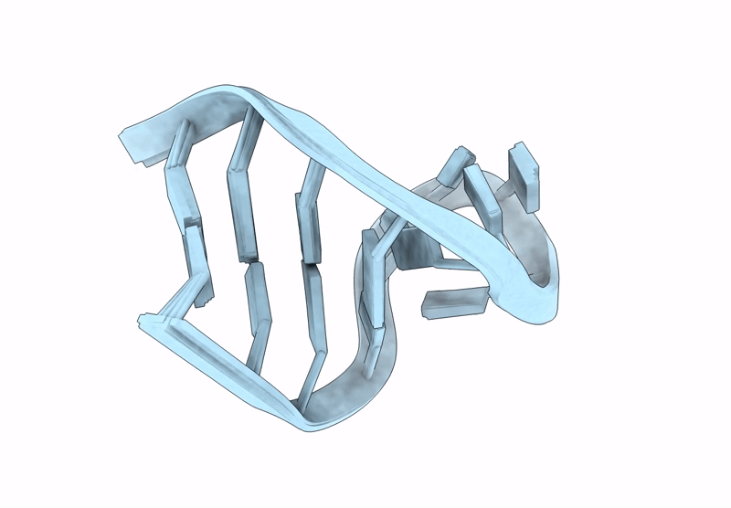 9SXV image