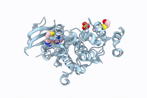 9SXX image