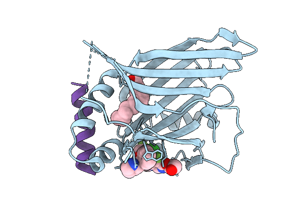 9SYN image