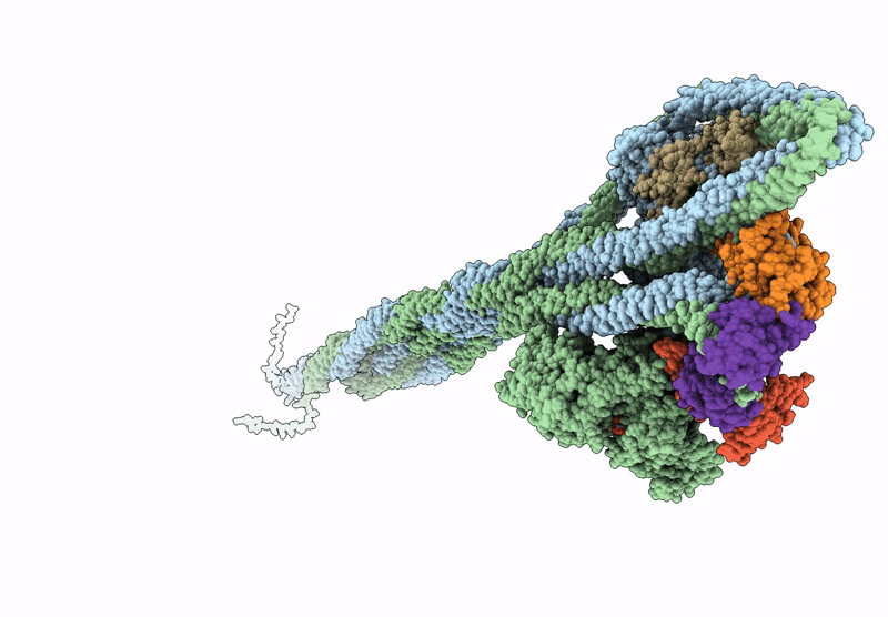 9SZR image