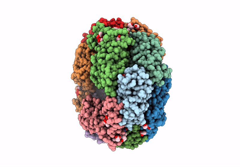 9T05 image