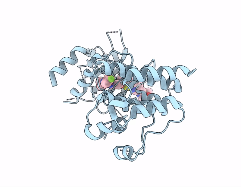9T08 image
