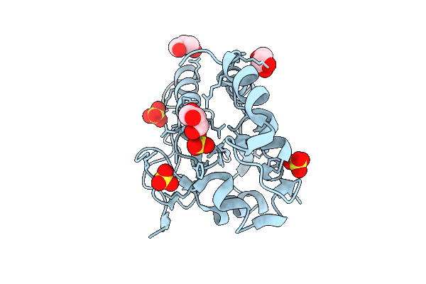 9T09 image