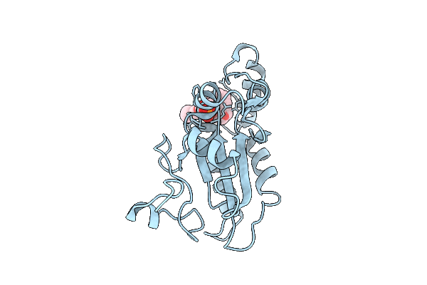 9T0A image