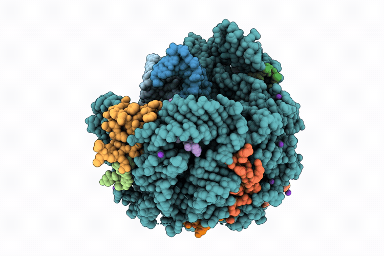 9T1B image