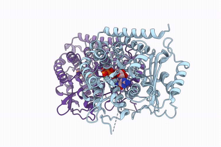 9T1D image