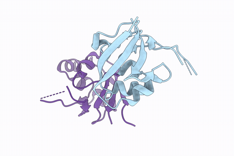 9T1R image