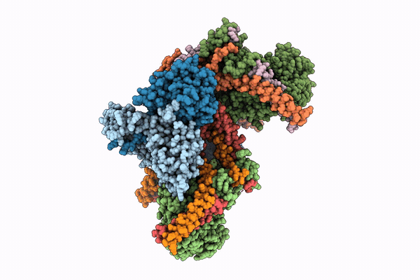 9T25 image