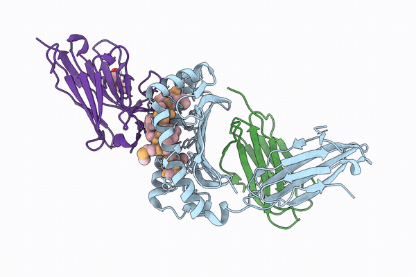 9T2A image