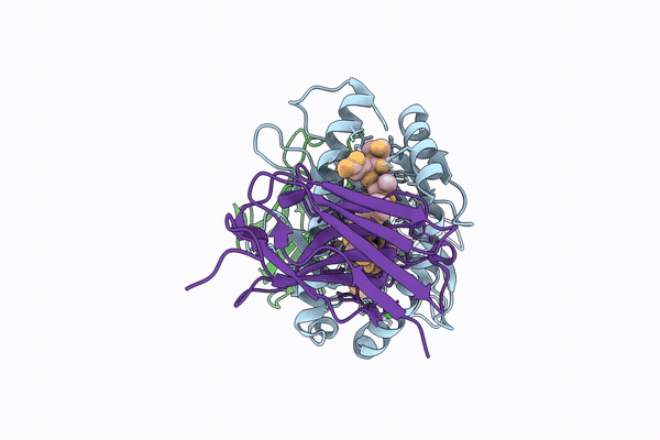 9T2B image