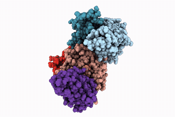 9T2C image