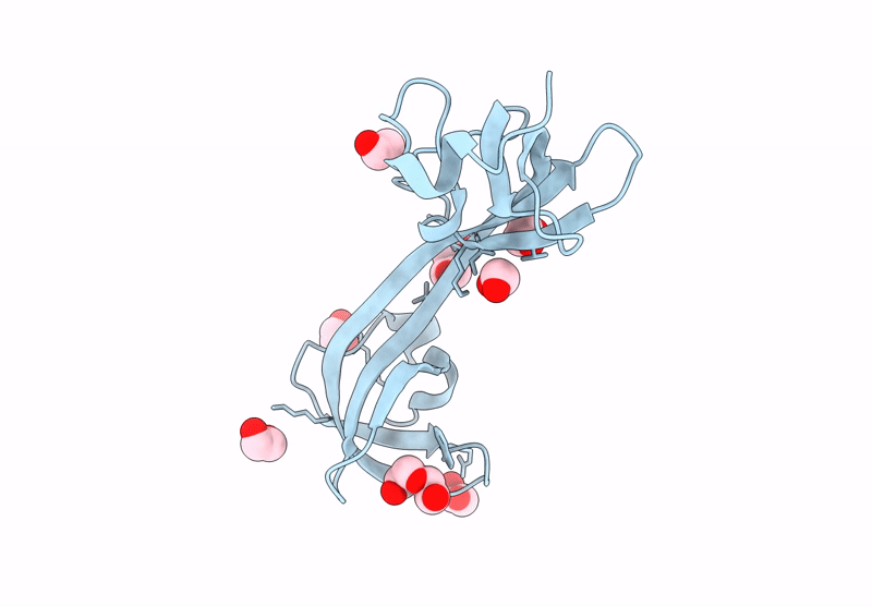 9T2D image