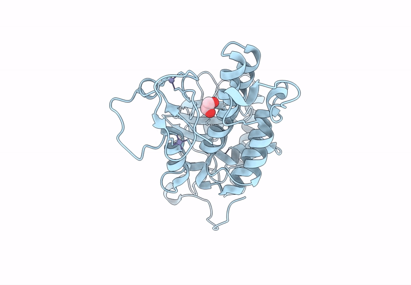 9T2F image