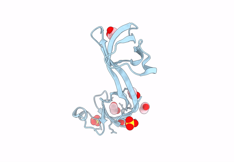 9T2H image