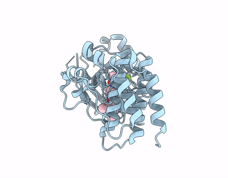 9T2V image
