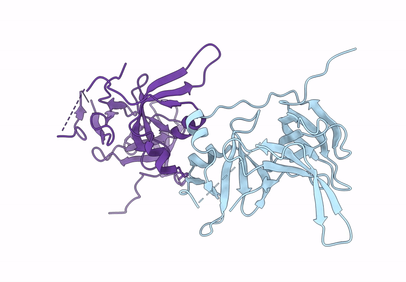 9T31 image