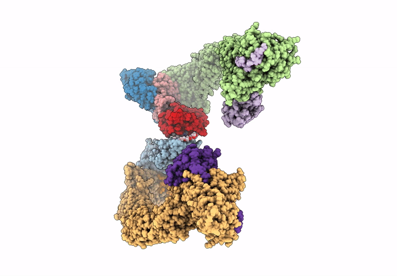 9T32 image