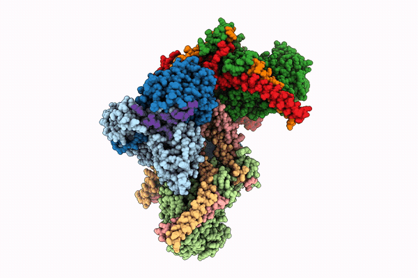 9T3B image