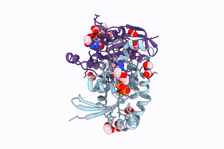9T3C image