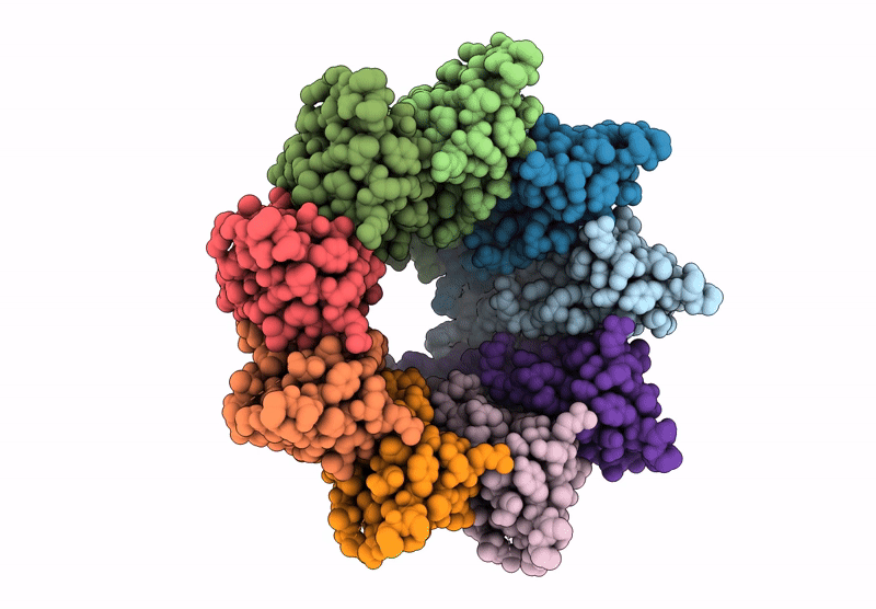 9T3P image