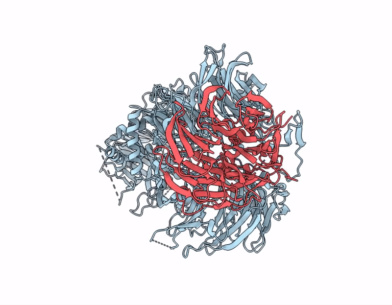 9T3X image