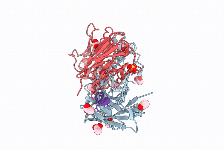 9T46 image