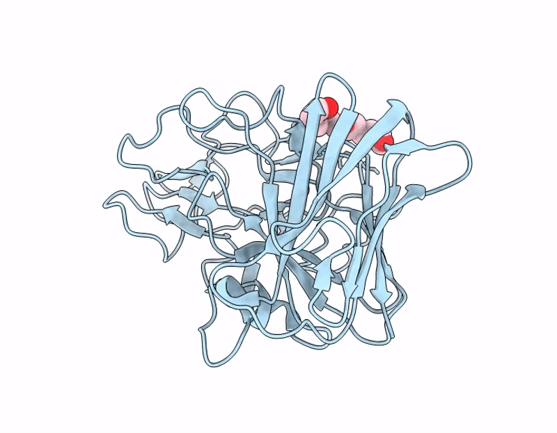 9T4N image