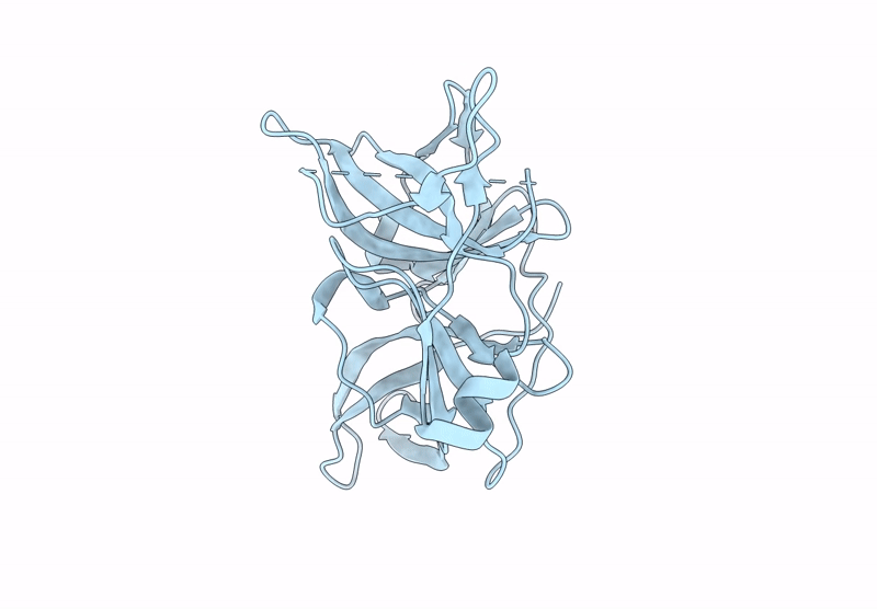 9T4P image