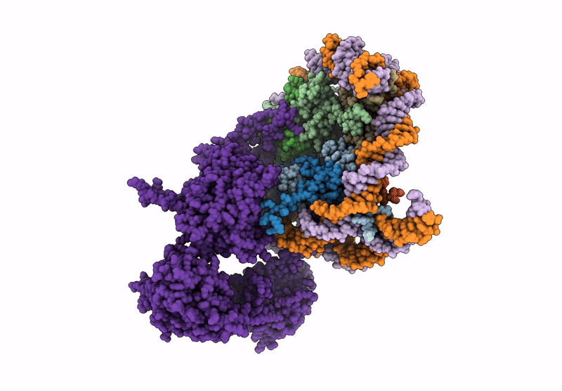 9T4V image