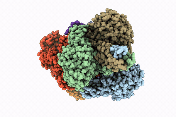 9T4X image