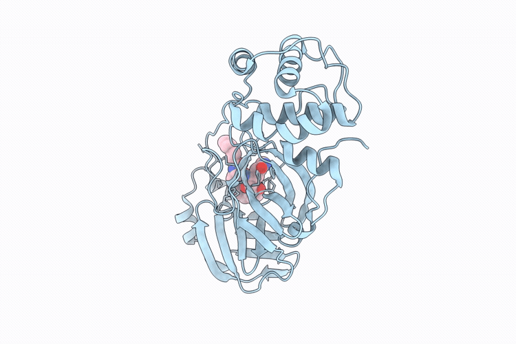 9T55 image