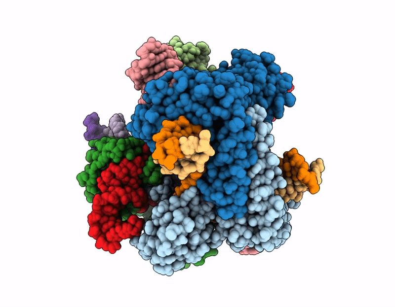 9T56 image