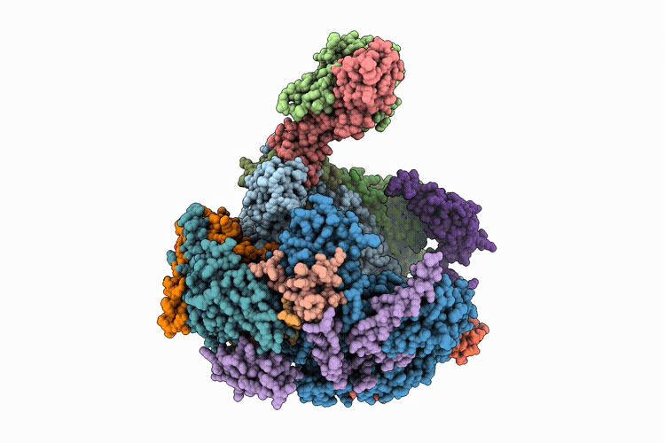 9T5H image