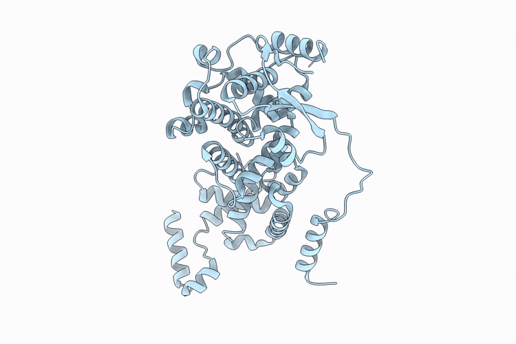 9T5K image