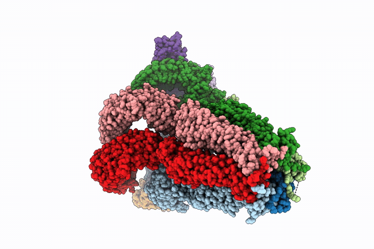 9T5N image