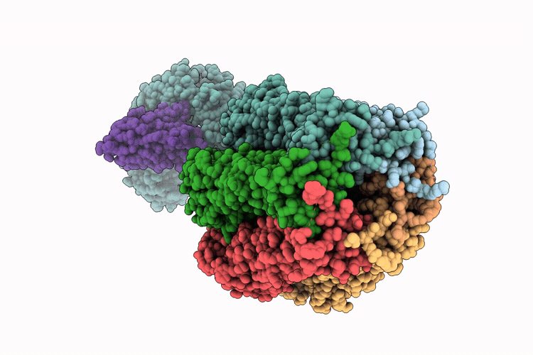 9T5P image