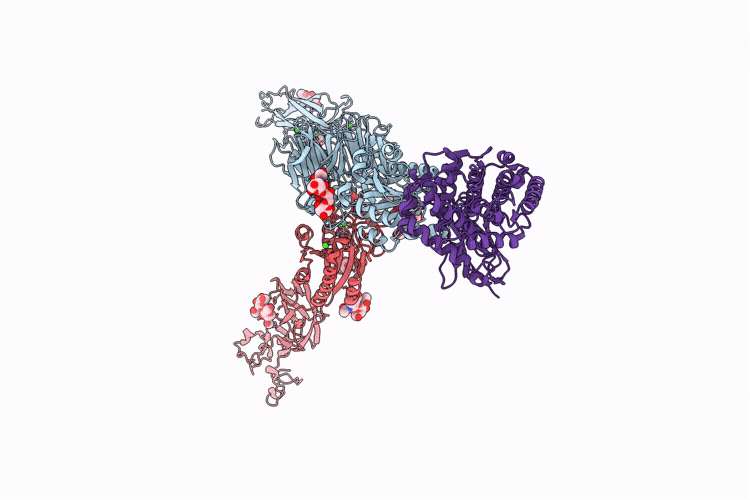 9T5V image