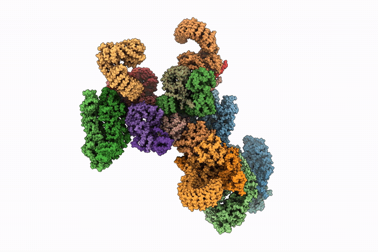 9T63 image