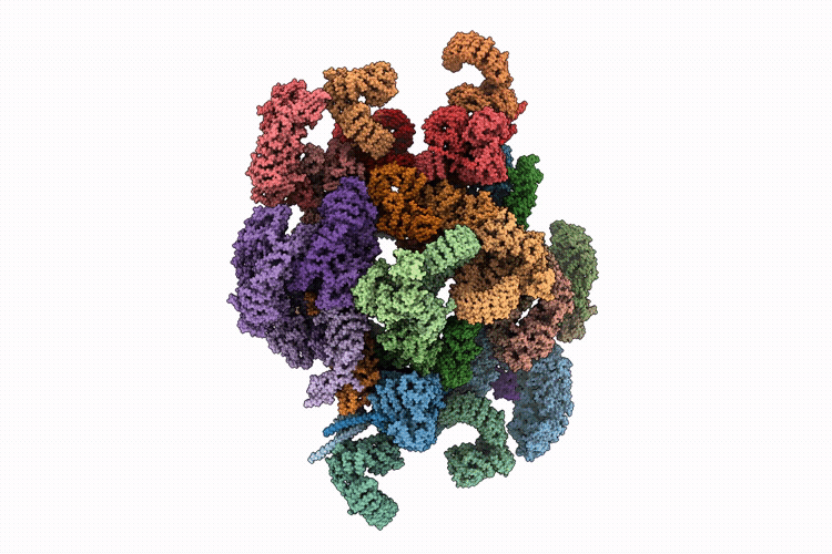 9T64 image