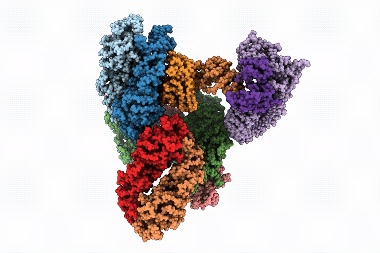 9T65 image
