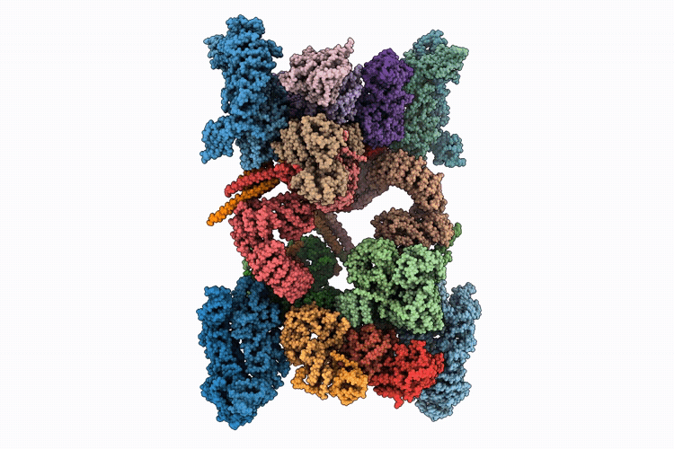 9T66 image